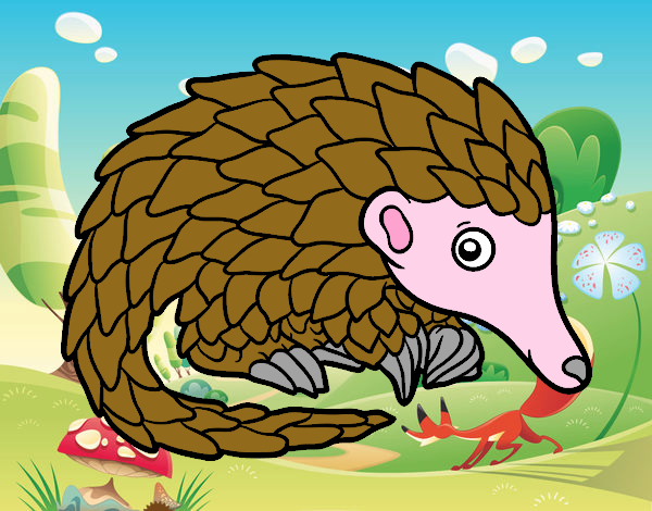 Pangolin