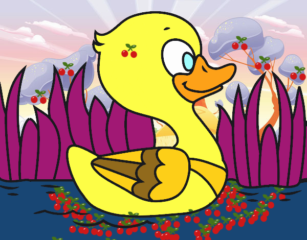 Patito de río