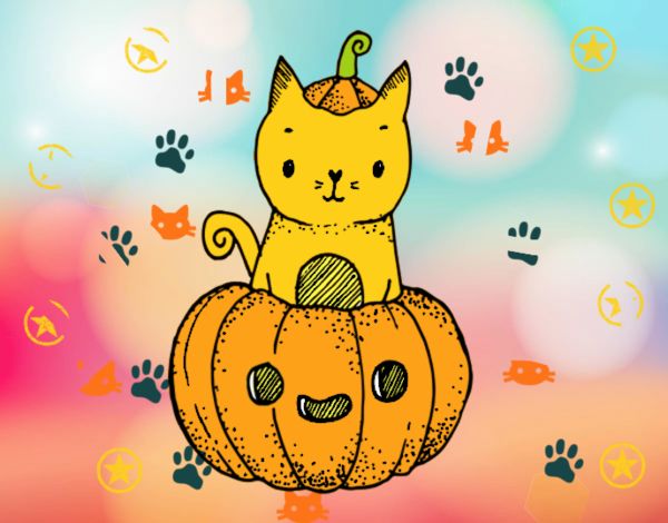 Un gatito de Halloween