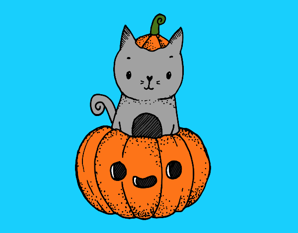 Un gatito de Halloween