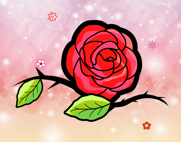 rosa esplendorosa como una  flor roja
