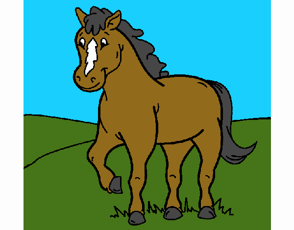 Caballo 4