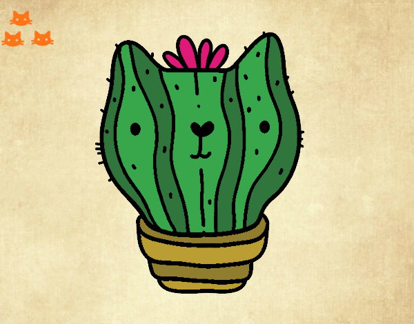 Cactus gato