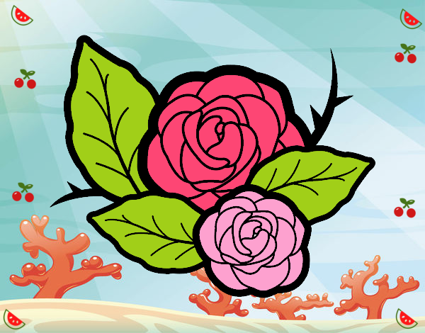 Dos rosas