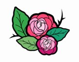 Dos rosas