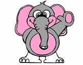 Elefante 2