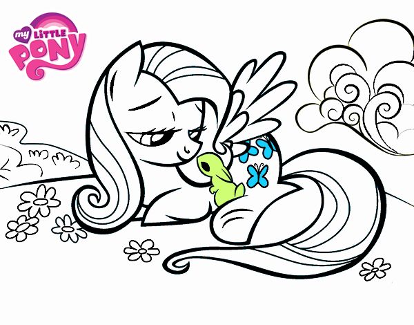 Fluttershy con un conejito