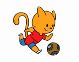 Gato jugando a fútbol