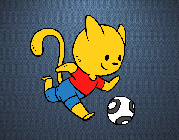 Gato jugando a fútbol