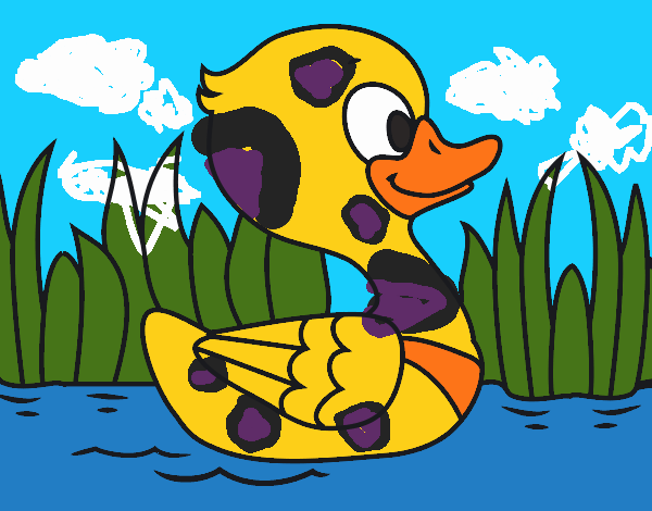 Patito de río