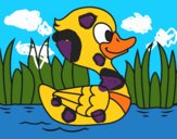 Patito de río