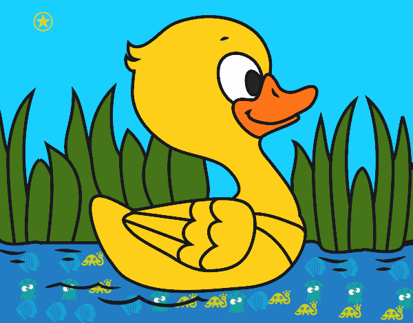 Patito de río