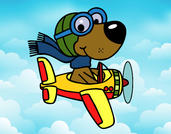 Perro piloto