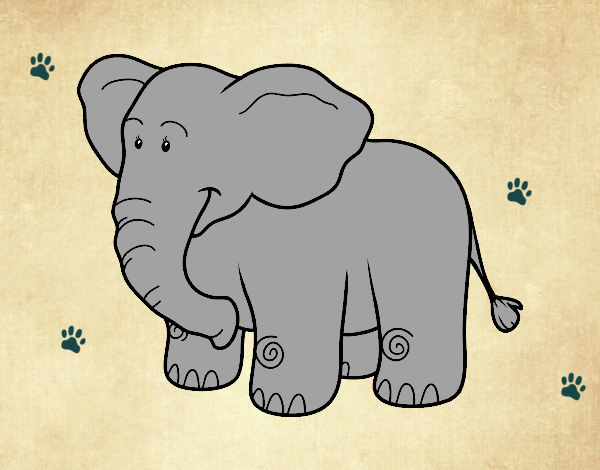 Elefante