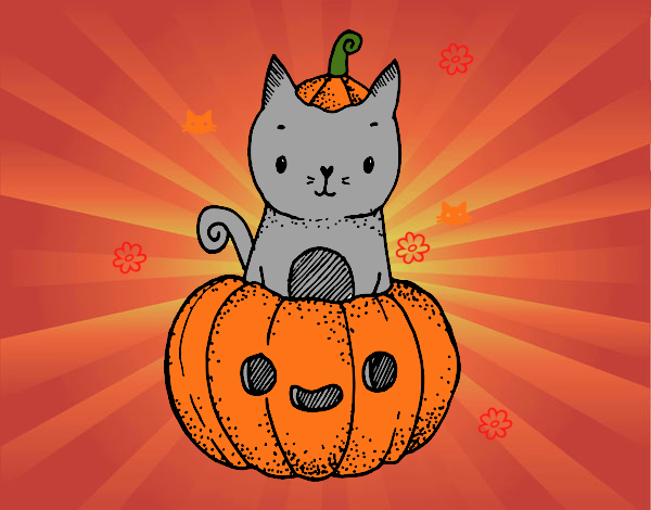 Un gatito de Halloween