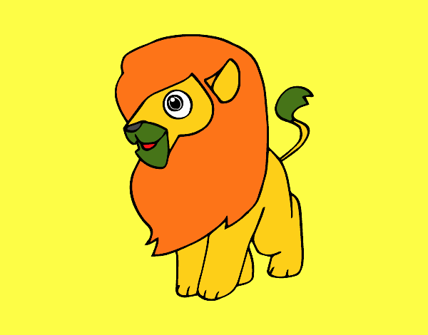 Un león