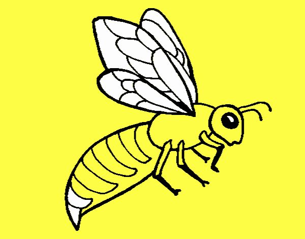 Abeja 2