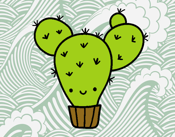 Cactus nopal