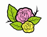 Dos rosas