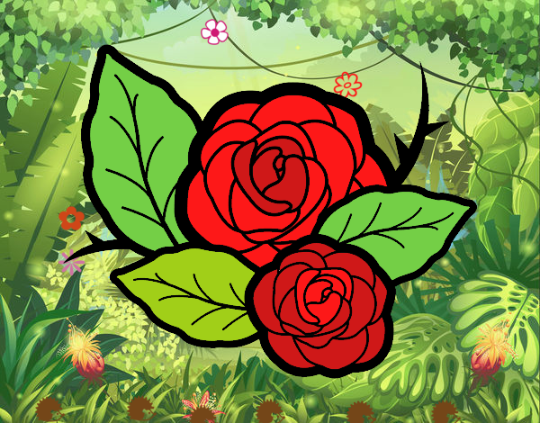 Dos rosas