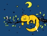 El gato y la luna