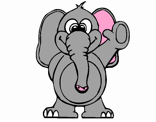 Elefante 2