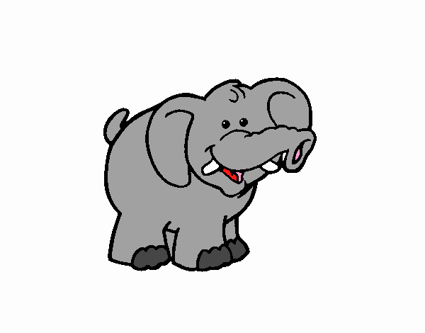 Elefante 3