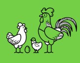 Familia gallina