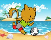 Gato jugando a fútbol