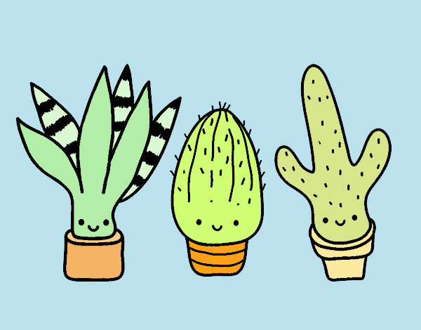 MIS CACTUSITOS Y PLANTAS