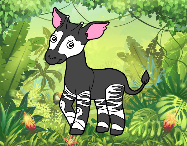 Okapi