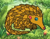 Pangolin