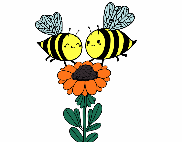 Pareja de abejas