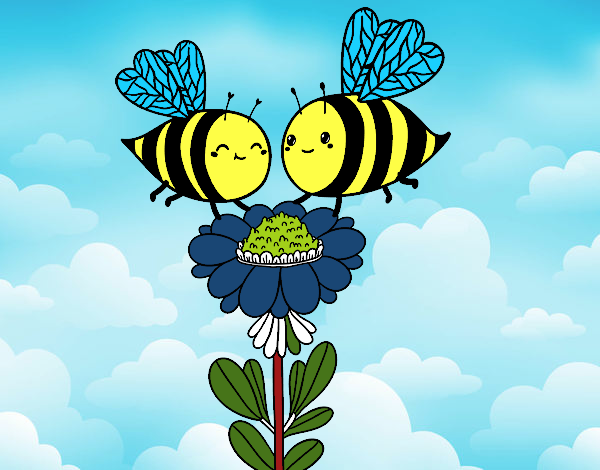 Pareja de abejas