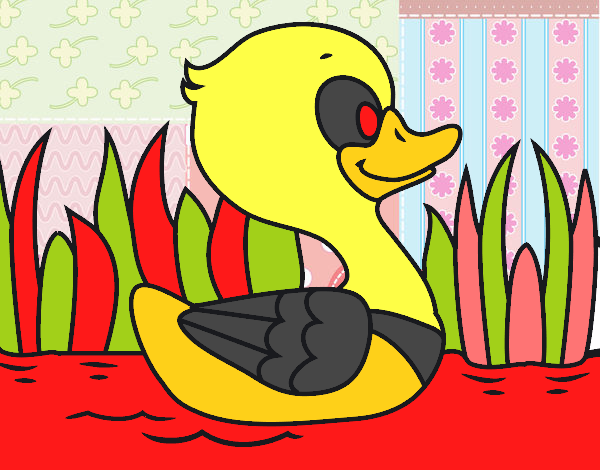 Patito de río