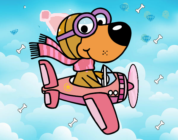 Perro piloto