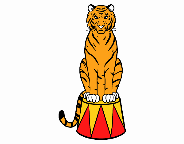 Tigre de circo