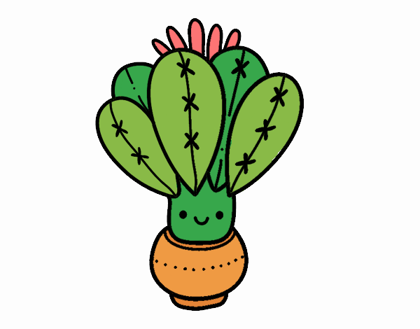 Un cactus con flor