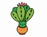 Un cactus con flor