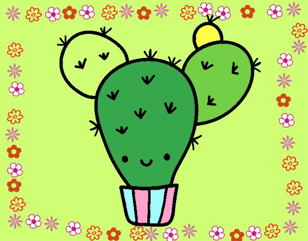 mi cactus