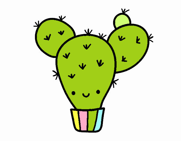 cactus 