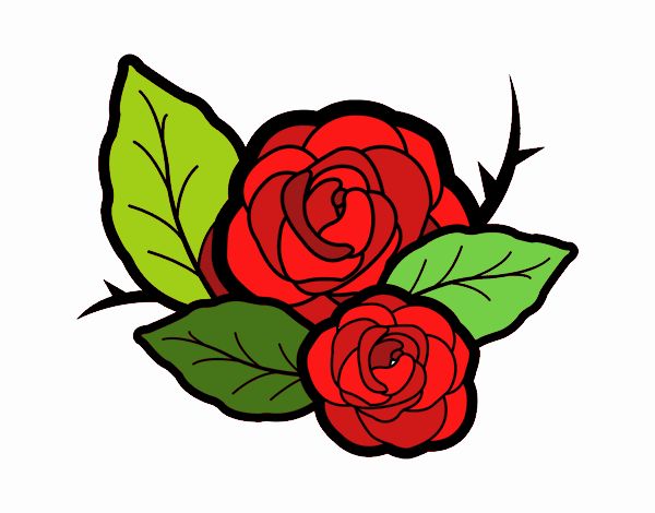 Dos rosas