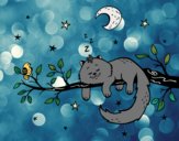 El gato y la luna