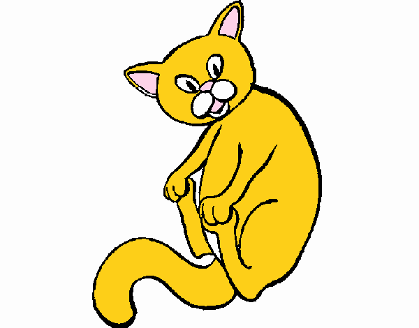 Gatito