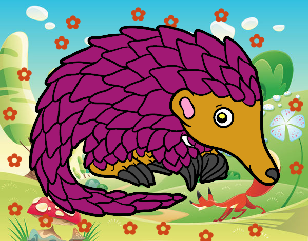 Pangolin