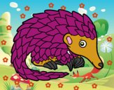 Pangolin