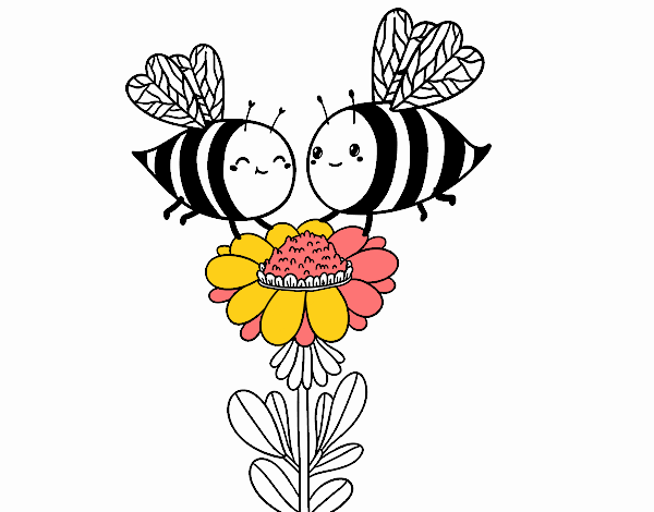 Pareja de abejas