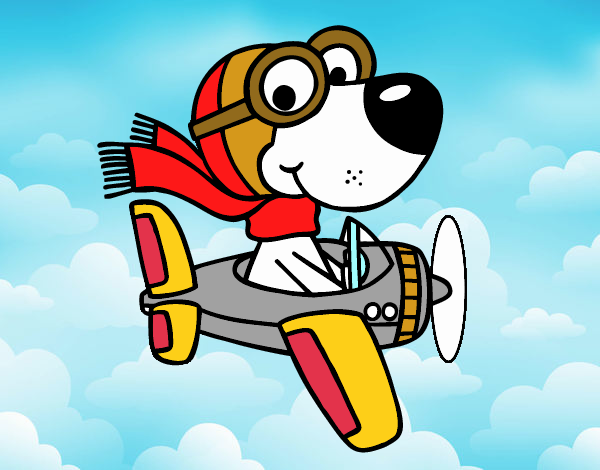 Perro piloto