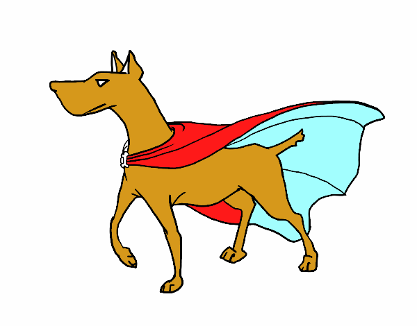 Perro superhéroe