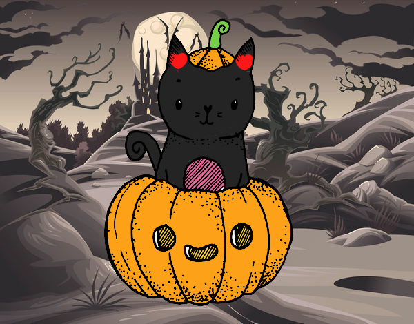 el gato hallowen